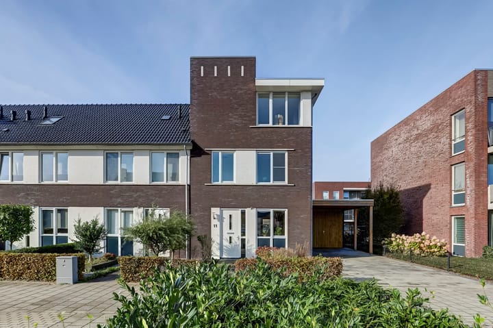 Foto 44 van Heivlinder 11