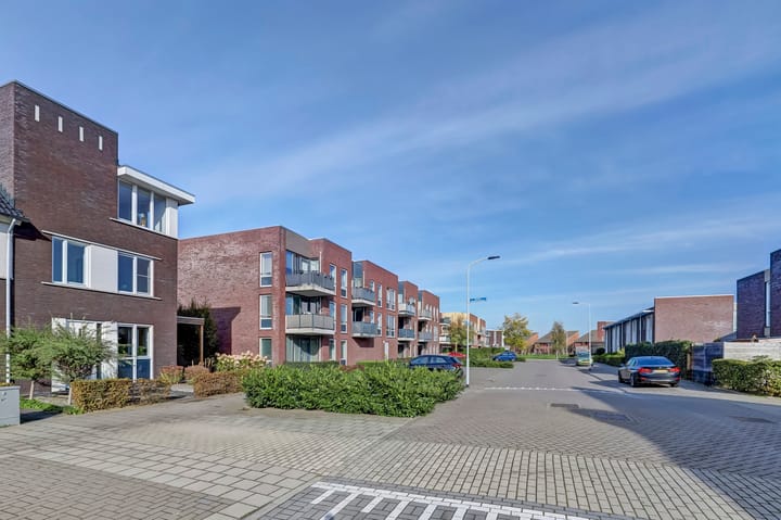 Foto 46 van Heivlinder 11