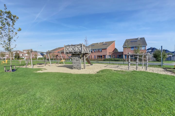 Foto 47 van Heivlinder 11