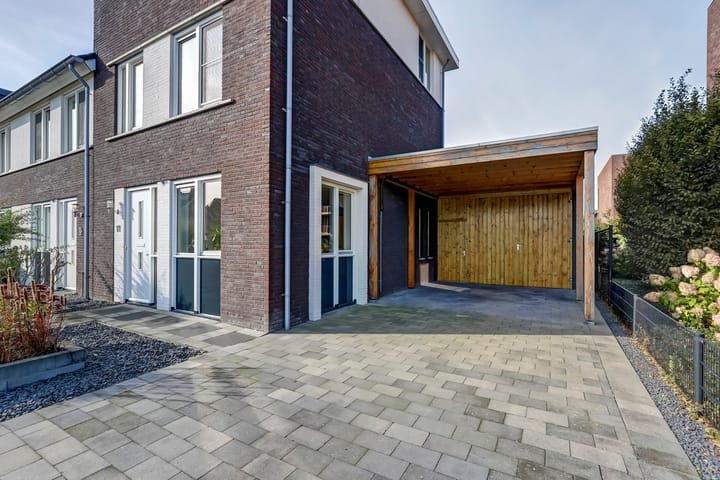 Foto 48 van Heivlinder 11