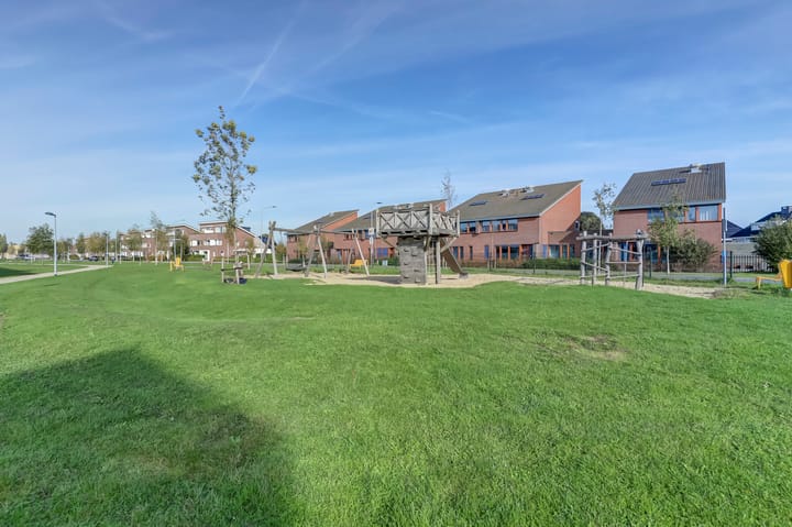 Foto 49 van Heivlinder 11