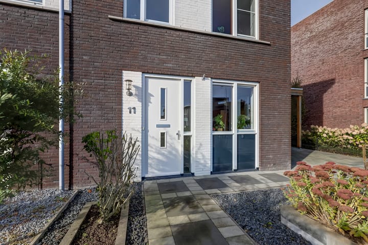 Foto 50 van Heivlinder 11