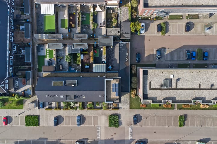 Foto 51 van Heivlinder 11