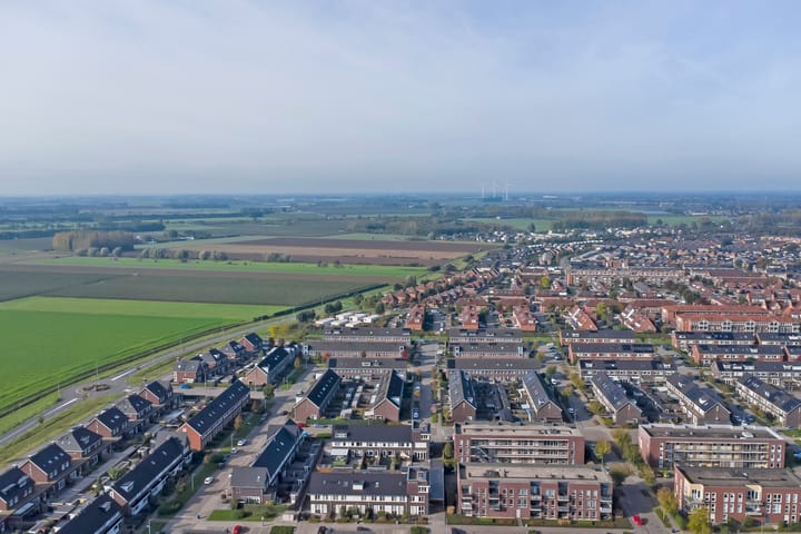 Foto 53 van Heivlinder 11