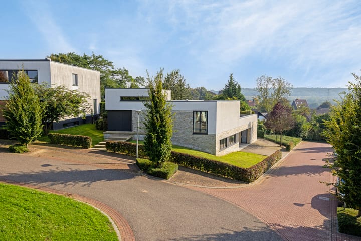 Foto 2 van De Damiaan 8