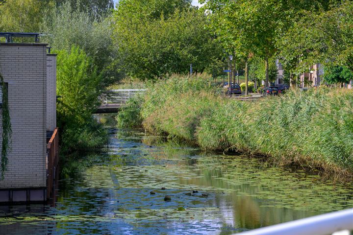 View photo 34 of Zuidersingel 266