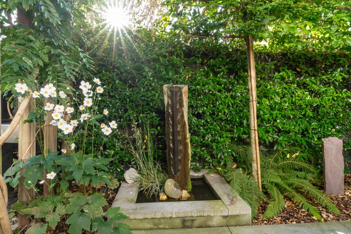 Foto 22 van Varenmos 10