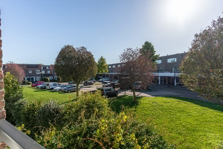 Foto 42 van Varenmos 10