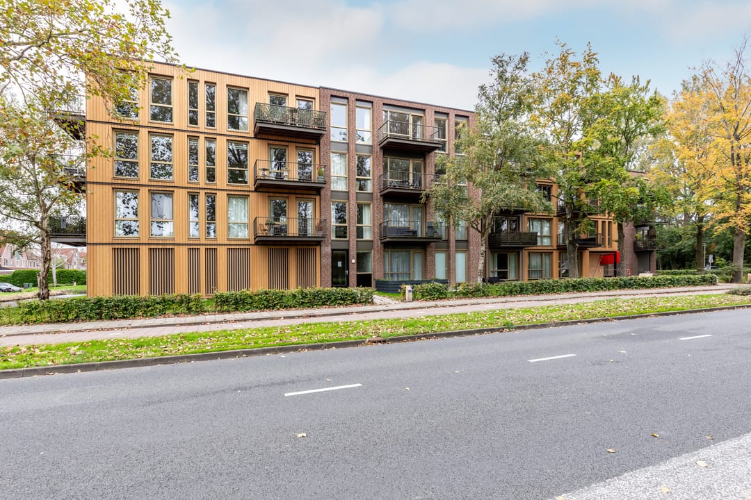 Foto 52 van Pierebaan 115