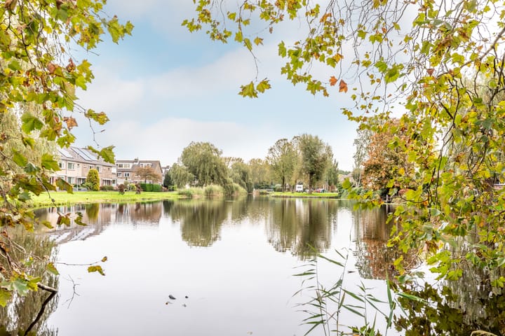 Foto 53 van Pierebaan 115