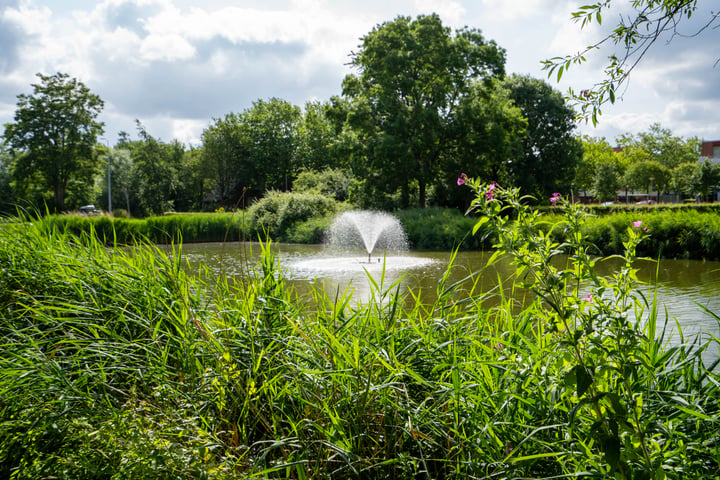 Bekijk foto 29 van Framaheerd 68