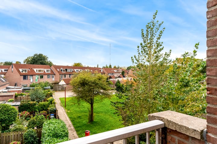 Foto 11 van Havik 40