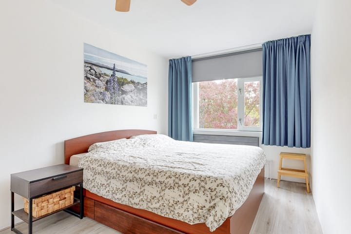 Foto 18 van Havik 40