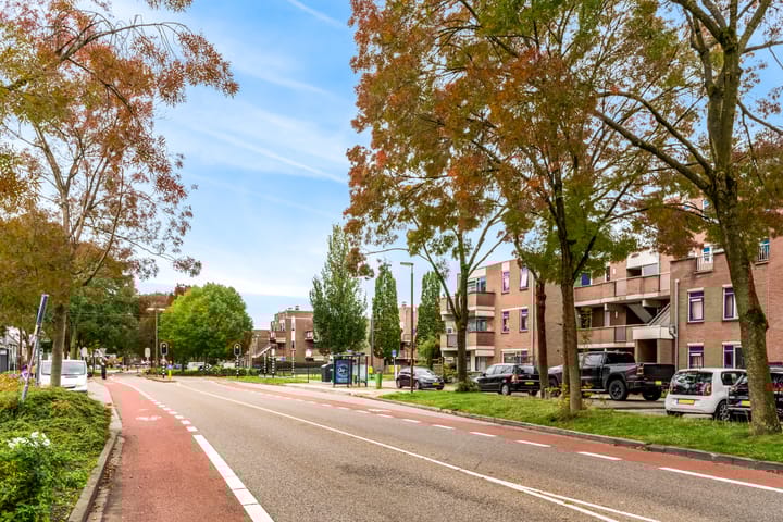 Foto 28 van Havik 40