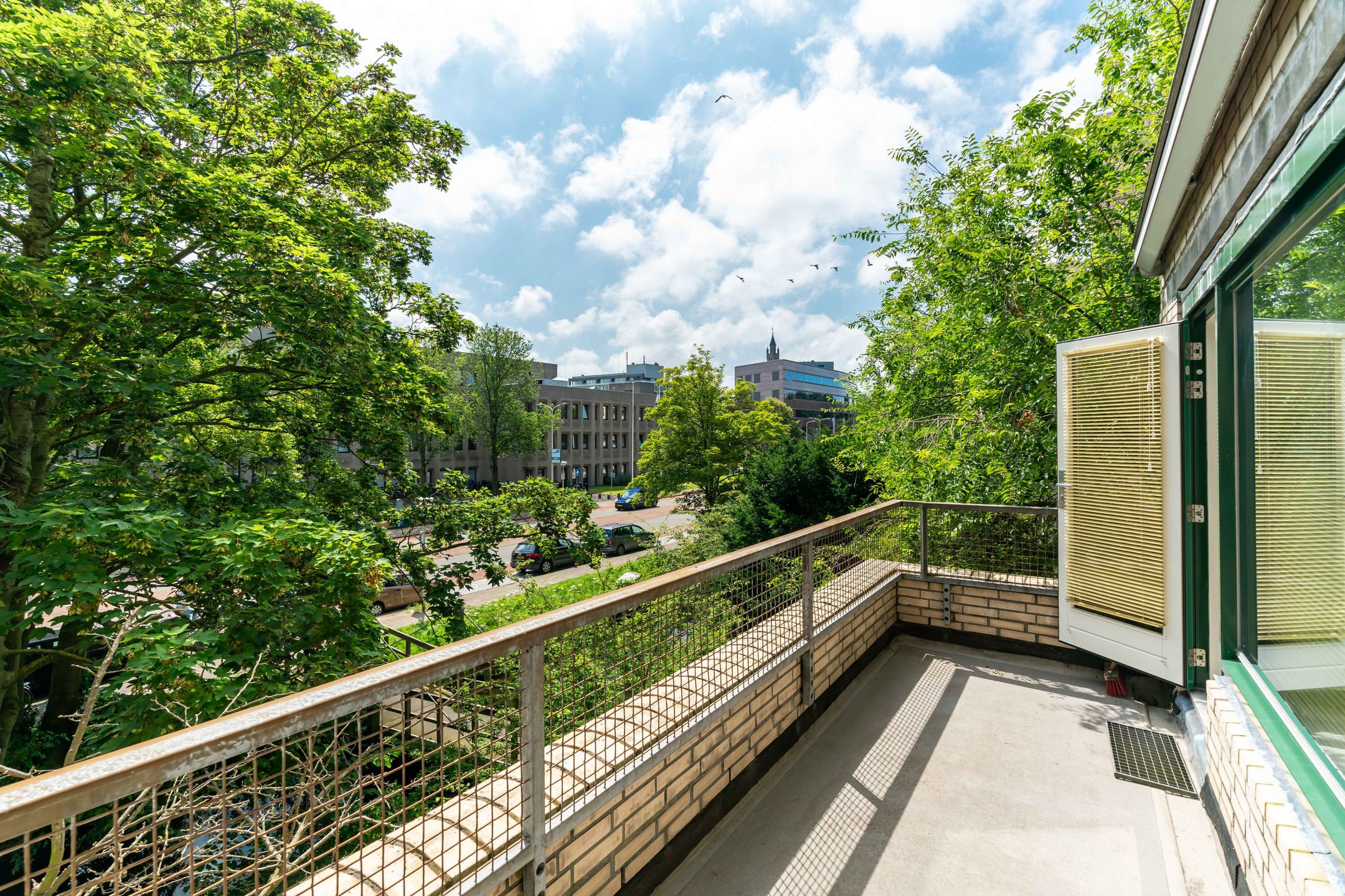 Photo 3 of Burgemeester Patijnlaan 598