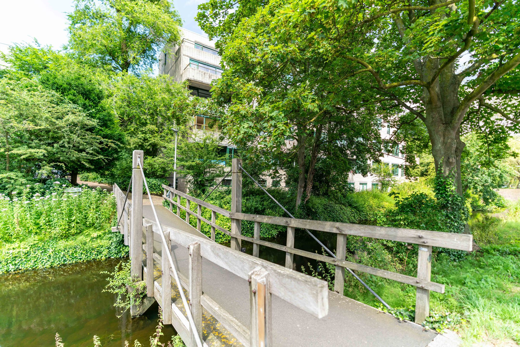 Photo 6 of Burgemeester Patijnlaan 598