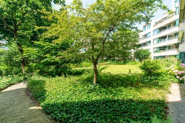 Photo 7 of Burgemeester Patijnlaan 598