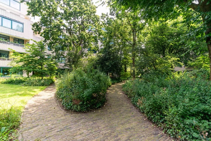 Photo 9 of Burgemeester Patijnlaan 598