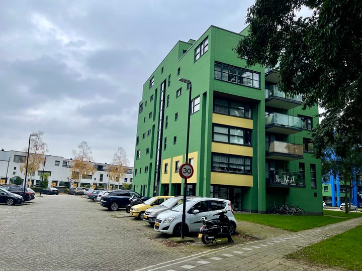 Iepehout 45