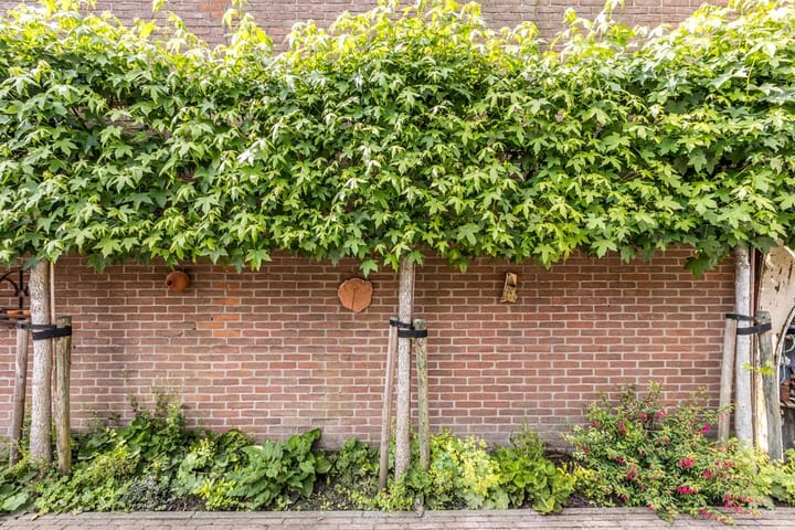 Foto 17 van Iepenlaan 23