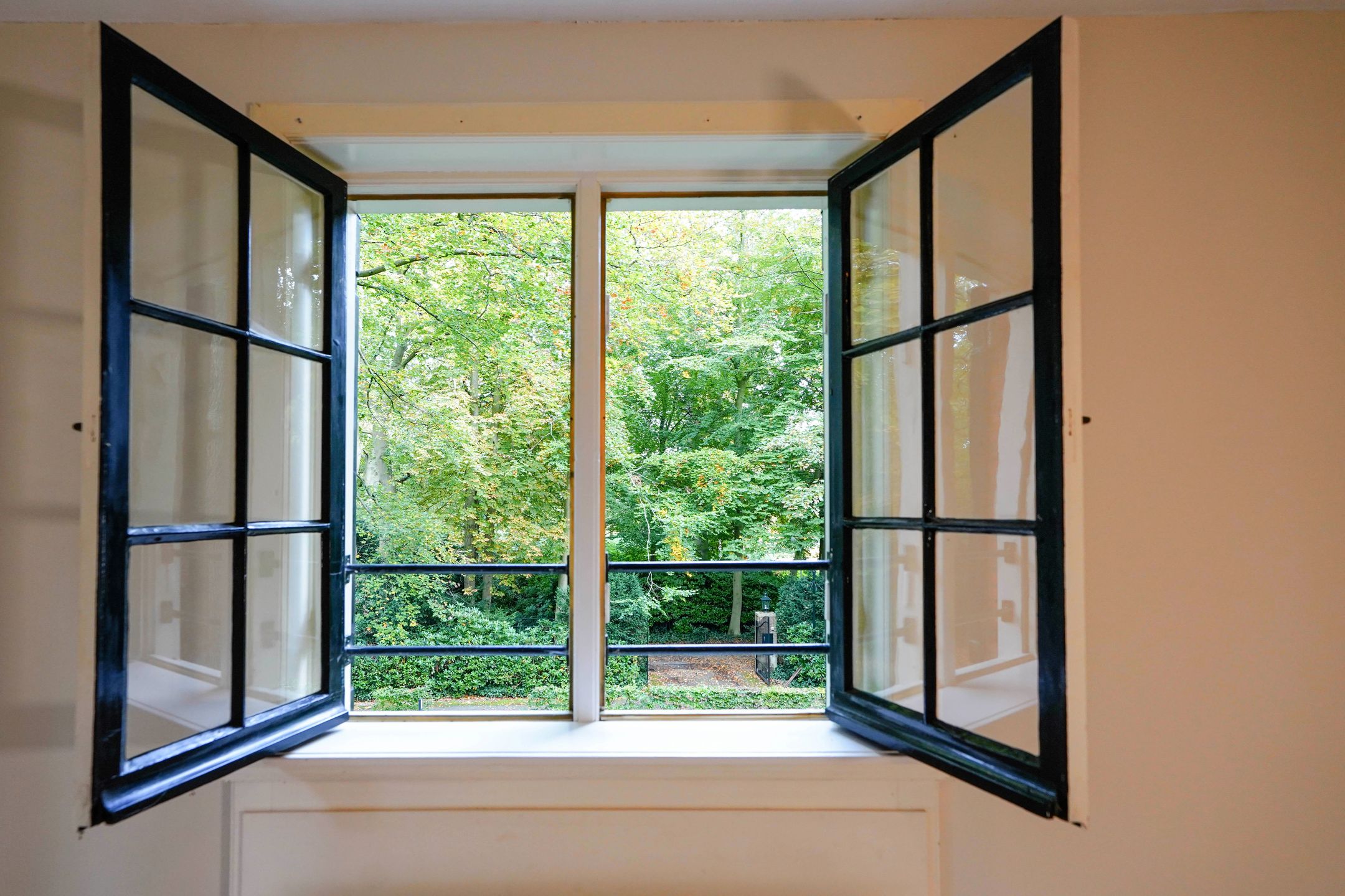 Foto 45 van Groen van Prinstererlaan 1-C