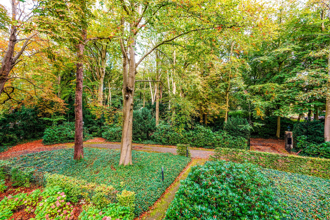 Foto 46 van Groen van Prinstererlaan 1-C