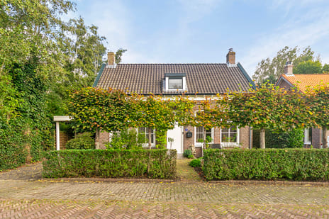 undefined main image