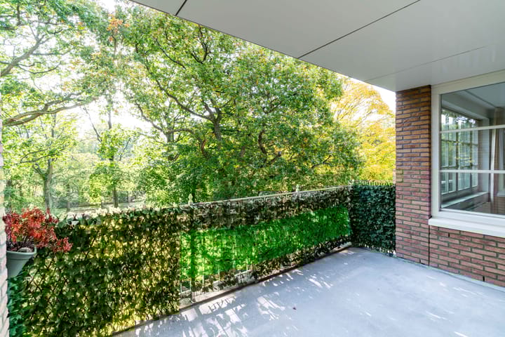 Foto 10 van Rijksstraatweg 733-B