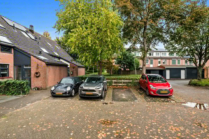 Photo 32 of Schouw 13