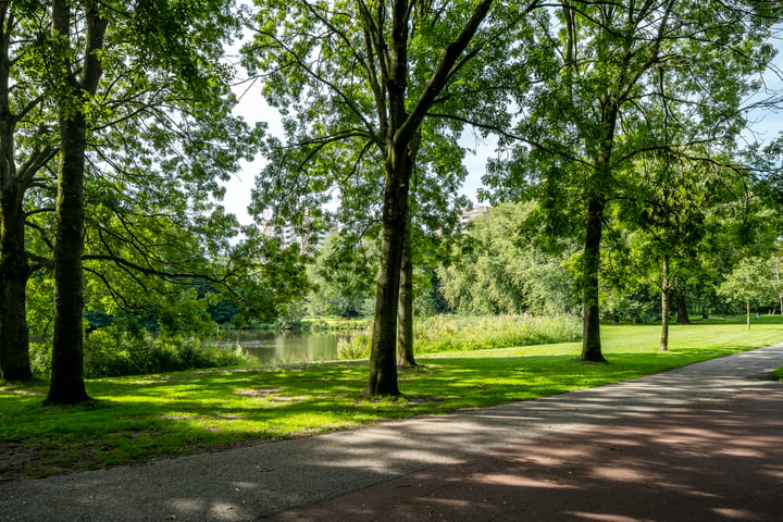 Bekijk foto 20 van Bos en Lommerplantsoen 101-A