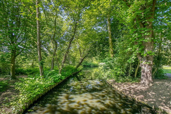 Bekijk foto 72 van Oudedijk 92-A