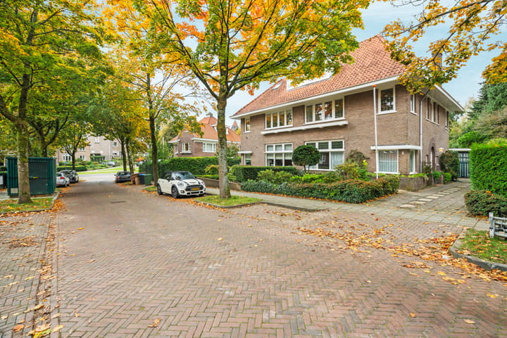 Foto 3 van Van Goyenstraat 3