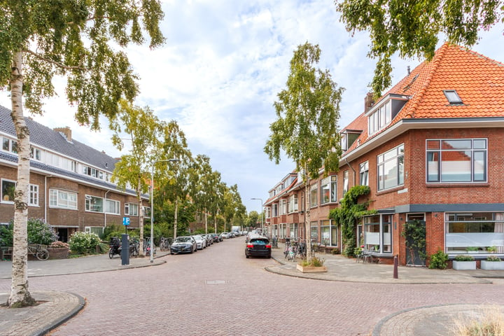 Bekijk foto 49 van Van 't Hoffstraat 21