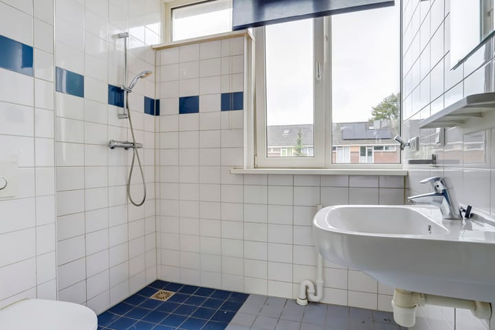 Foto 3 van Westerzicht 255