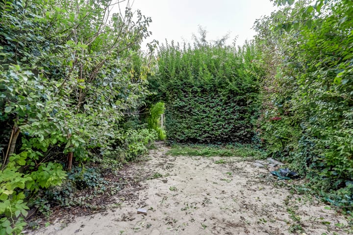 Foto 23 van Westerzicht 255