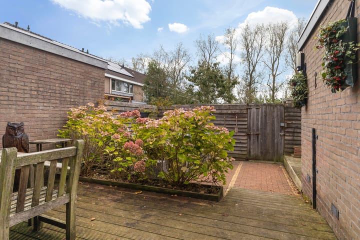 Foto 20 van Swanneblomstrjitte 21