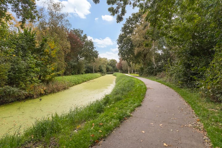 Foto 39 van Swanneblomstrjitte 21