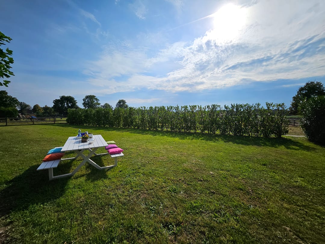 Foto 7 van Loksheuvelseweg 1