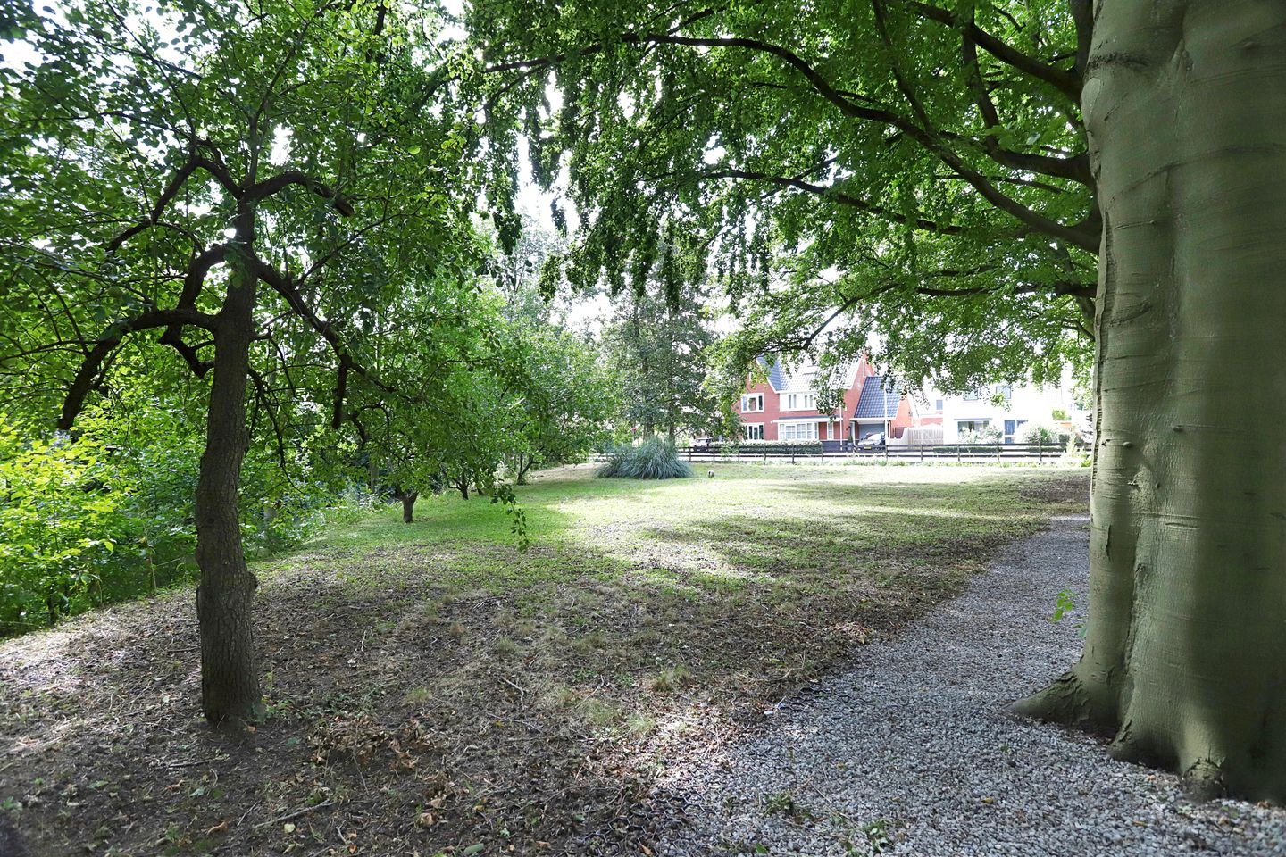 Foto 35 van Kievitsweg 114