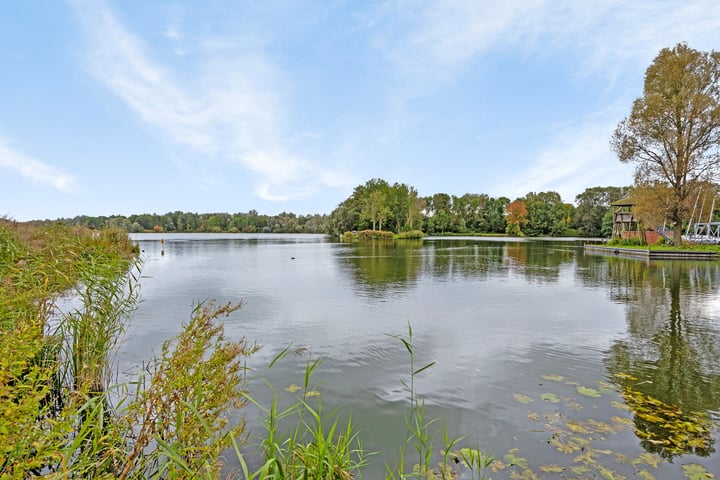 Bekijk foto 30 van Leerdamhof 143