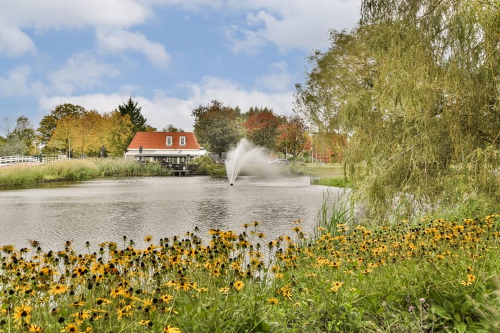 Foto 27 van Niemeyerstraat 135