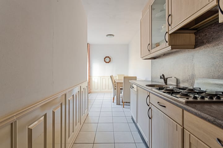 Foto 7 van Prof. R. Regoutstraat 51