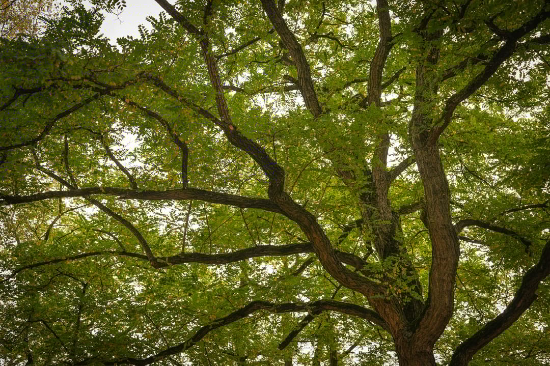 Photo 13 of Esther de Boer-van Rijklaan 61