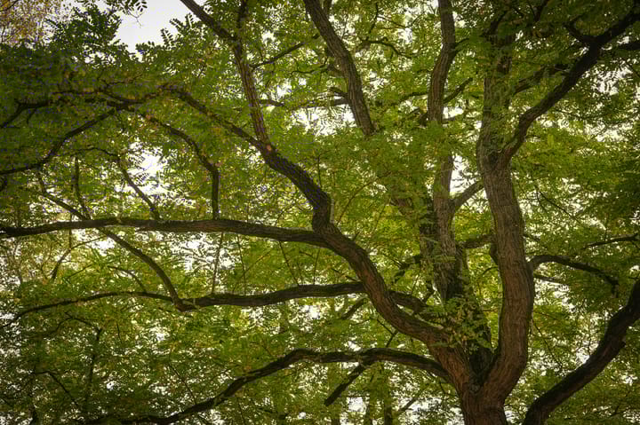 Foto 13 van Esther de Boer-van Rijklaan 61