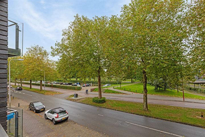 View photo 12 of Blauwkapelseweg 33-C