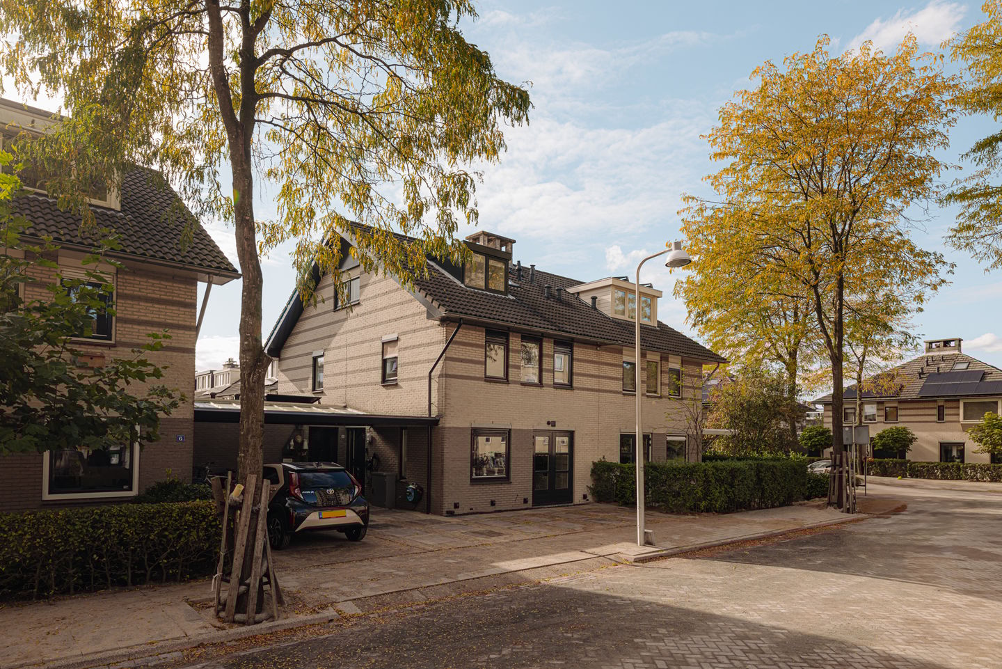 Foto 1 van Hermelijnvlinder 4