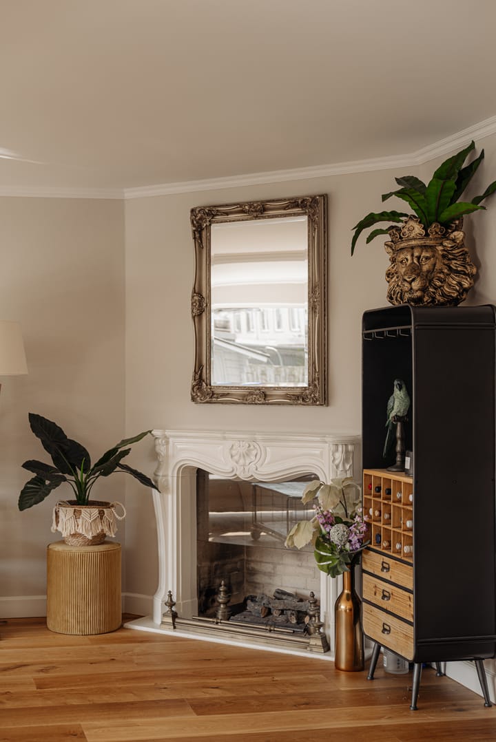 Foto 5 van Hermelijnvlinder 4