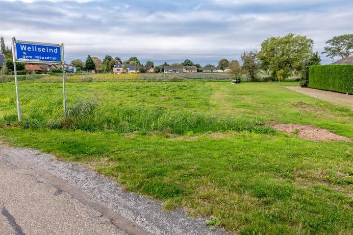 Photo 8 of Wellseindsestraat