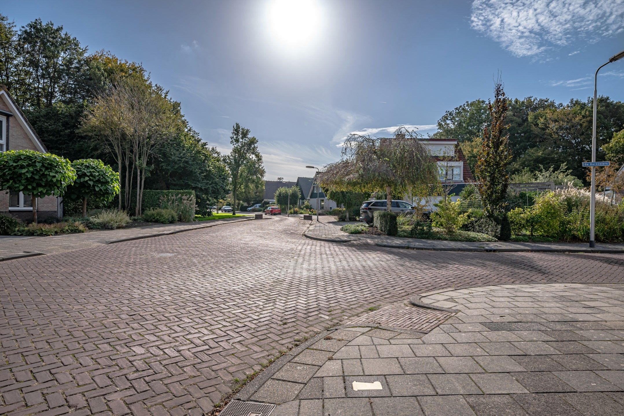 Foto 42 van De Ruiten 13