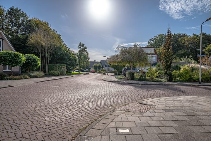 Foto 42 van De Ruiten 13